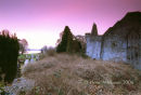 Muckross abbey at sunset, Killarney national park, Co.Kerry